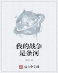 这是我的战争安东有什么用