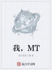 我MT什么意思