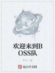 欢迎来到boss队 笔趣阁