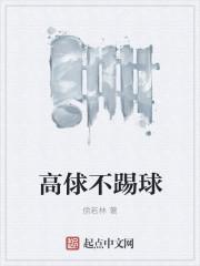 高俅踢的是什么