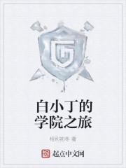 白小丁科技