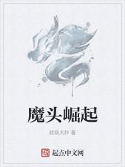 黑魔头崛起读后感200字