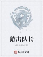 游击队长什么样