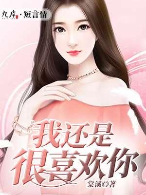 我还是很喜欢你歌曲夏婉安