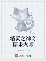 精灵宝可梦皮卡丘神奇糖果