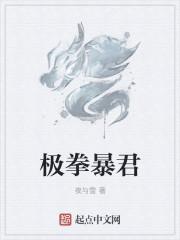 极拳暴君是什么类型