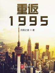 重返1995无错