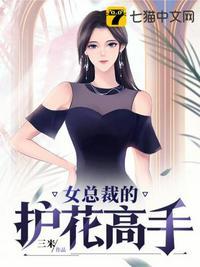 女总裁的护花高手完整版