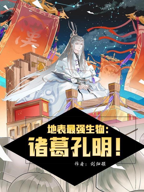 诸葛孔明fgo