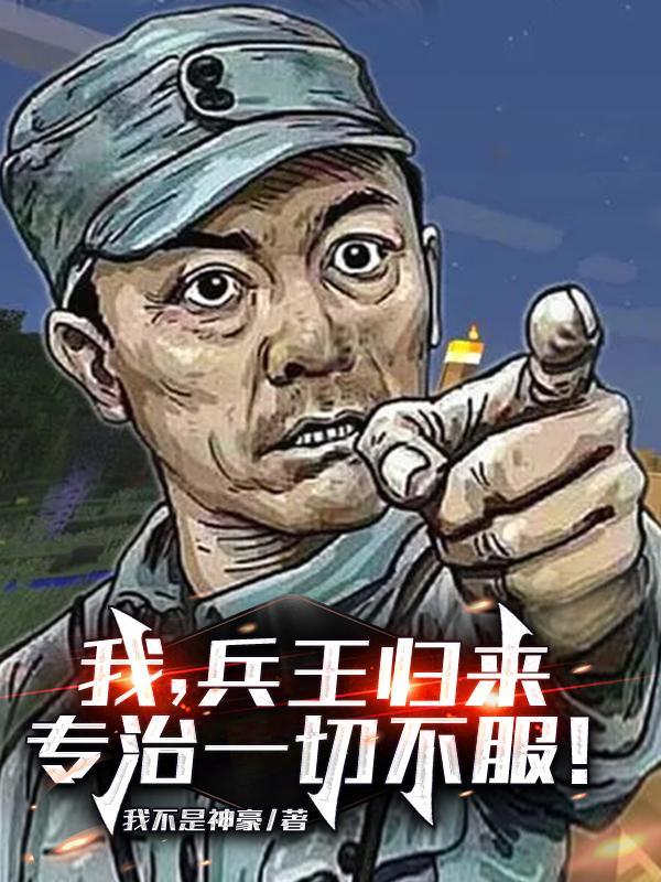 专治一切不服!之亮剑