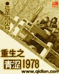 重生之青涩1978完结