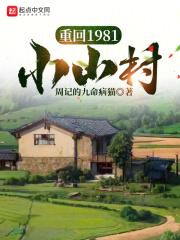 重回1981小山村周记在线阅读