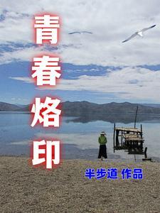 青春烙印古筝曲谱D调