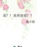 诶我养迹部TXT