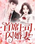 总裁上司是闪婚对象