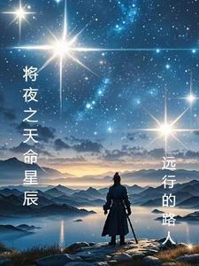 将夜天命境界