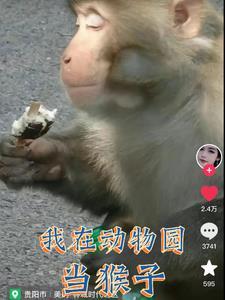 变成猴子长出尾巴