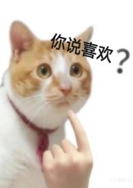 爱不起是什么意思?