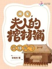 将军夫人在打官司