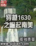 穿越1630之崛起南美 起点