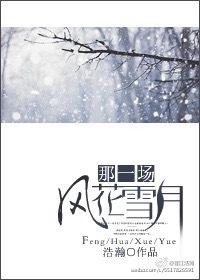 那一场风花雪月的事是什么歌