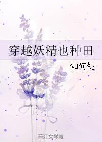 女主穿越妖精